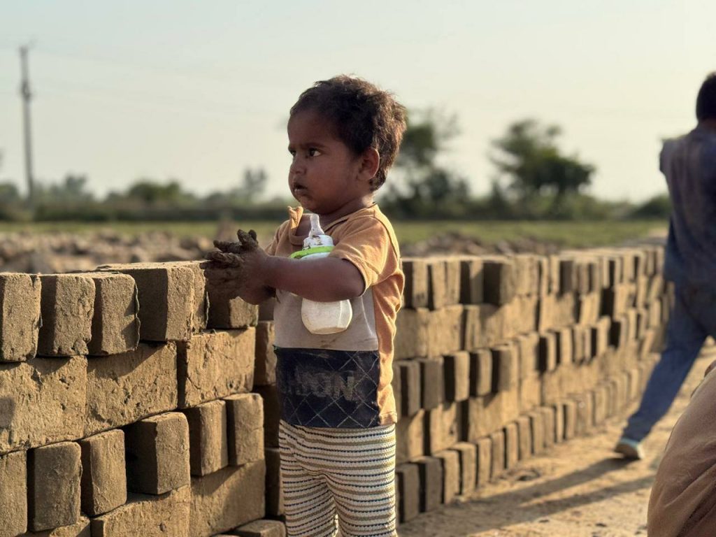 561082308 3314601952050083 4883140958370051307 n